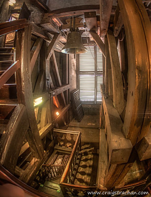 cds-cds-IMG_8623_proc